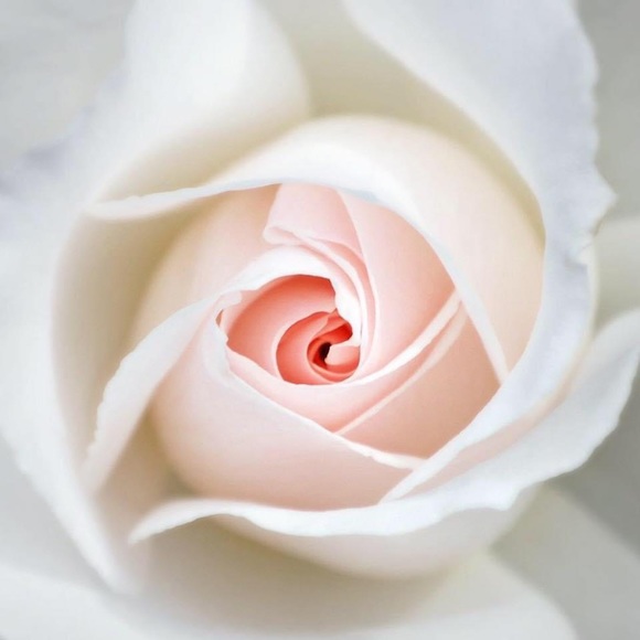 Meet your Posher, Catherine - Picture 1 of 1